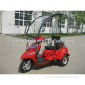110cc disabled tricycle